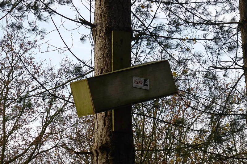 Hoo's Moving In? The Backyard Owl Box Craze Taking Suburban America by Storm