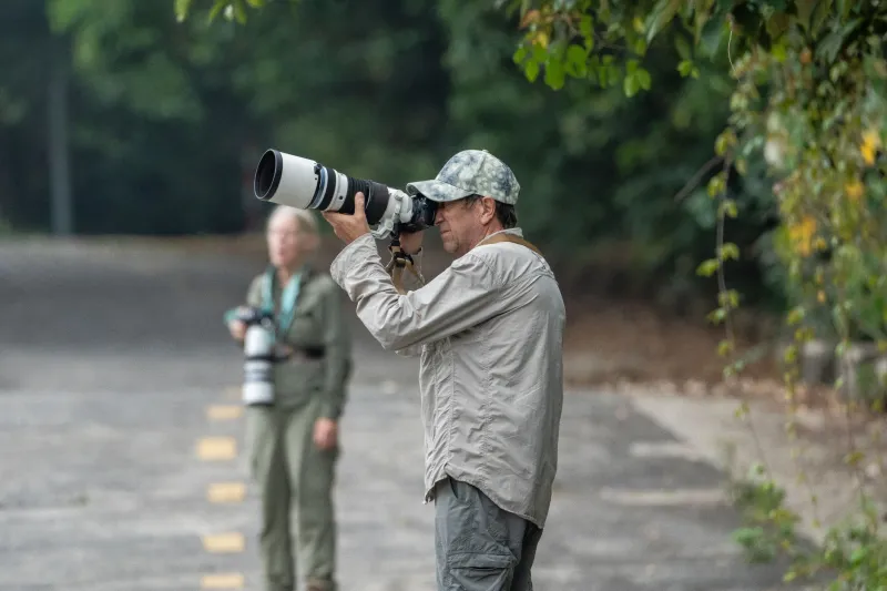 Love Them or Leave Them Alone: The Uncomfortable Truth About What Your Fish Owl Obsession Is Actually Doing to Fish Owls