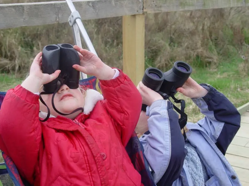 Hoot, There It Is: How Owl-Watching Tourism Became a Full-Blown Economic Phenomenon (and Why Fish Owls Are the Star Attraction)